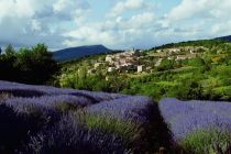 Provence